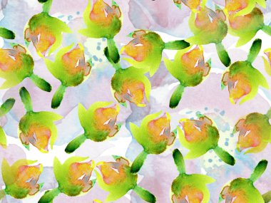 Suluboya Güller, Şakayık ve Yapraksız Kalıp. Klasik Peonie Eco Rapport. Egzotik Mayo Tasarımı. Hawaii Kova Parmak izi. Yaz Çiçeği Arkaplanı. Botanik Çiçek İllüstrasyonu.