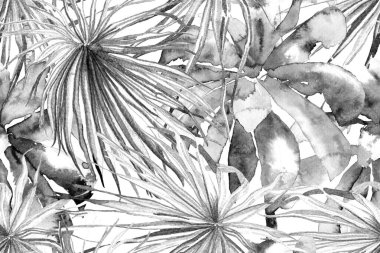 Suluboya Yatay Tropik Tasarım. Palm Geometric Mayo desenli. Tropikal Kusursuz Desen. Siyah ve Beyaz Etnik Aloha İlişkisi. Egzotik Bikini Özgeçmişi. Palmiye Yaprakları Eğlenceli Doku.