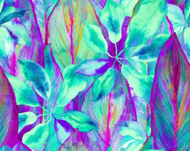 Schefflera Arboricola Kusursuz Düzen. Botanik Suluboya Yazdırma. Schefflera Actinophylla Hayata Tekrarlanan Süs Evergreen Egzotik Çiçekli Walisongo Bitkisi. Yeşil ve Teal