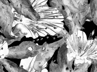 Kalın Çiçekler. Siyah ve Beyaz Arkaplanda Büyük Tropikal Kusursuz Baskı. Büyük Tropikal Yaz Maracuya Sonsuz Arkaplan. Soyut Kalın Çiçek Yazdırma. 