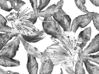 Cesur soyut çiçek deseni. Siyah ve Beyaz Arkaplanda Büyük Hawaii Kusursuz Yazısı. Big Jungle Spring Aquarelle Maracuja Sonsuz Arkaplanı. Modern Kalın Soyut Çiçek Deseni.