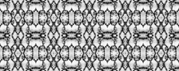 Yılan Derisi Rastgele Doku. Siyah ve Beyaz Dikdörtgen İkat Uyumluluğu. Suluboya Etnik Tasarım. Boya fırçası Python arka planı. Sembol geometrik mayo deseni. Etnik Kusursuz Desen.