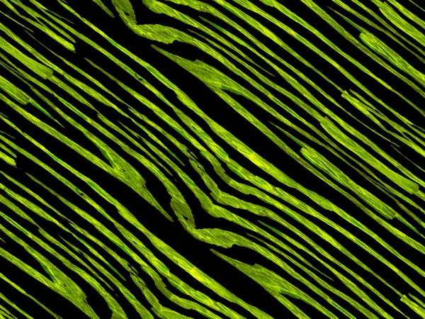 Geometrik hayvan dokusu. Yeşil ve Aqua Menthe Zebra Cilt İzi. Hayvan kamuflajı arka planı. Afrika deseni. Çizgili, kusursuz desen. Suluboya Kamuflaj Tasarımı. Soyut Safari Döşemesi.