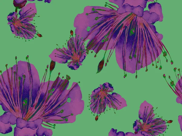 Cesur soyut çiçek deseni. Yeşil ve Kızıl Arkaplanda Büyük Hawaii Kusursuz Parmak izi. Büyük Egzotik Yaz Aquarelle Maracuja Sonsuz Arkaplan. Modern Kalın Soyut Çiçek Deseni.