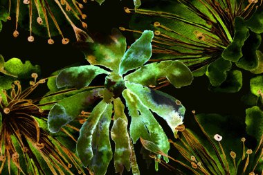 Tropikal Kusursuz Desen. Etnik Aloha İlişkisi. Egzotik Bikini Özgeçmişi. Palmiye yapraklarının eğlenceli dokusu. Turkuaz Yeşil Suluboya Yatay Tropik Tasarım. Palm Geometric Mayo Kalıbı.