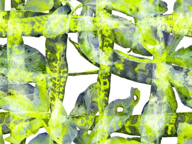 Yeşil Menthe ve Sarı Yaz Çiçekleri. Botanik Ormanı Çizimi. Suluboya kusursuz desen bırakır. Egzotik Mayo Tasarımı. Hawaii Kova Parmak izi. Vintage Eko Uyumu. 