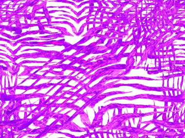 Afrika deseni. Çizgili, kusursuz desen. Proton Mor Zebra Cilt İzi. Hayvan kamuflajı arka planı. Suluboya Kamuflaj Tasarımı. Soyut Safari fayansı. Geometrik Hayvan Dokusu.