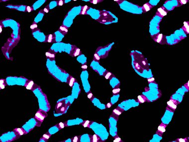 Yılan Derisi Parmak izi. Zehirli Ejder Taklidi. Elapidae Kapanış Arkaplanı. Afrika Safari Deri Çizimi. Aspid Pürüzsüz Düzen. Klasik Mavi ve Çivit El Çizgili Asma Kalıp.