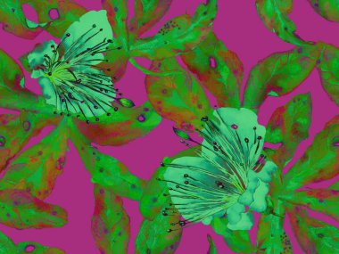 Kalın Çiçek deseni. Yeşil ve Kırmızı Arkaplanda Büyük Hawaii Kusursuz Parmak izi. Büyük Tropik Yaz Aquarelle Maracuja Sonsuz Arkaplan. Modern Kalın Çiçek Deseni.