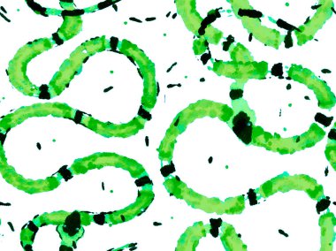 Elapidae Kapanış Arkaplanı. Yeşil ve Aqua Menthe Asma Aspid desenli. Afrika Safari Deri Çizimi. El çizimi Aspid Deseni. Yılan Derisi Parmak izi. Zehirli Ejder Taklidi.