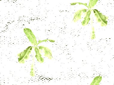 Yeşil egzotik desen. Canavar yaprakları ve amber çiçekleri yaz baskısı. Doymuş büyük çiçekli mayo izi. Yatay Kaliforniya doğal doku tasarımı. Güzel bahar botanik tasarımı.