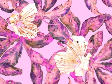 Cesur Çiçek Tasarımı. Kızıl Arkaplanda Büyük Tropikal Kusursuz Parmak izi. Büyük Hawaii Bahar Suyu Granadilla Sonsuz Arkaplan. Sanatsal Kalın Çiçek Tasarımı.