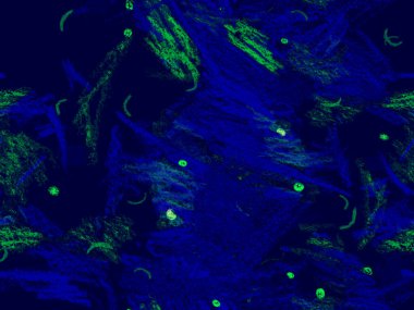 Güzel pastel boya dokusu. Şirin Büyük Sanatsal Geometrik Mavinin Kusursuz Şablonu, Yatay Şablon için Indigo Arkaplanı. Büyük Olağandışı Asgari Parmak izi. Moda Boya Dokusu.