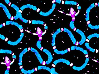 Aspid Pürüzsüz Düzen. Afrika Safari Deri Çizimi. Elapidae Kapanış Arkaplanı. Klasik Mavi ve İndigo El Çizgili Asma Örnekleri. Yılan Derisi Parmak izi. Zehirli Ejder Taklidi.