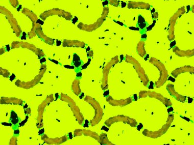 El çizimi Aspid Deseni. Aspid Pürüzsüz Düzen. Green ve Aqua Menthe Elapidae Kapanış Arkaplanı. Afrika Safari Deri Çizimi. Yılan Derisi Parmak izi. Zehirli Ejder Taklidi.