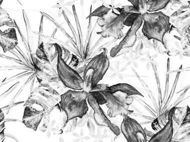 Orkide Kusursuz Desen. Orkideli mayo baskısı, Palm Leaves. Suluboya Çiçek Geçmişi. Tropik Yaz Baskısı. Tek renkli ve Gri Tonlu Egzotik Hawaii Tasarımı. Tayland Döşeme Dokusu.