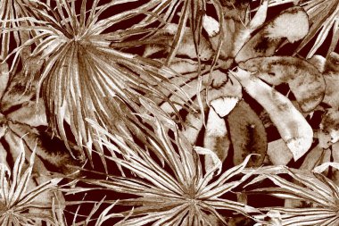 Suluboya Yatay Tropik Tasarım. Palm Geometric Mayo desenli. Tropikal Kusursuz Desen. Palmiye yapraklarının eğlenceli dokusu. Etnik Aloha İlişkisi. Egzotik Bikini Özgeçmişi. Kahverengi ve Bej