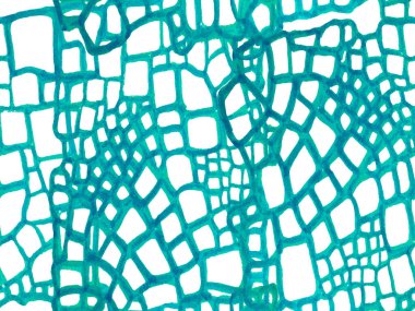 Yeşil ve Aqua Menthe timsah desensiz. El çizimi timsah deseni. Timsah Kapanış Arkaplanı. Afrika Deri Çizimi. Yırtıcı Hayvan Derisi İzi. Ejder Derisi Taklidi.