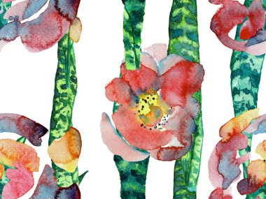 Green ve Aqua Menthe Vintage Eco Rapport. Egzotik Mayo Tasarımı. Hawaii Kova Parmak izi. Yaz Çiçeği Arkaplanı. Botanik Ormanı Çizimi. Suluboya Tertemiz Desen 'i Bırakıyor.