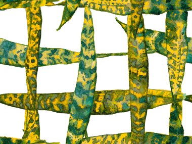 Suluboya kusursuz desen bırakır. Egzotik Mayo Tasarımı. Hawaii Kova Parmak izi. Yaz Çiçeği Arkaplanı. Botanik Ormanı Çizimi. Turuncu ve Yeşil Vintage Eko Uyum. 