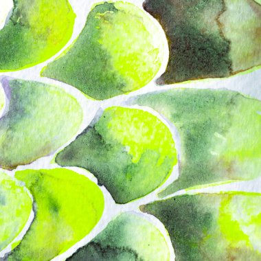 Deniz köpüğü yeşili Yılan Tasarımı. Suluboya El Çizilmiş Piton Yazısı. Kobra Derisi Egzotik Doku. Geometrik Yılan Arkaplanı. Zehir ve Yılan derisi. Suluboya El Boyalı Arkaplan.