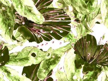 Cesur soyut çiçek deseni. Yeşil Arkaplanda Büyük Egzotik Kusursuz Parmak izi. Büyük Hawaii Bahar Aquarelle Maracuya Sonsuz Arkaplan. Modern Kalın Soyut Çiçek Deseni.