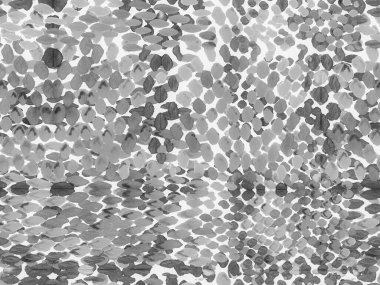 Geo Symmetric Ikat Rapport. Canlı Geometrik Mayo Kalıbı. Etnik Kusursuz Düzen. Yılan Derisi Rastgele Doku. Suluboya Etnik Tasarım. Yaz Rhombus Arkaplanı.