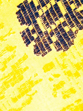 Belorus Tekstil. Geleneksel Belorus Yazıcısı. Nakış tasarımı. Evet. Keten Giysi Arkaplanı. Klasik Etnik Motif. Beyaz El yapımı Kumaş. Altın Sarı Geometrik Arkaplan.