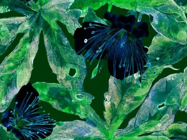 Kalın Çiçek deseni. Yeşil Arkaplanda Büyük Hawaii Kusursuz Parmak izi. Büyük Egzotik Yaz Kova Tutkusu meyvesi Sonsuz Arkaplan. Modern Kalın Çiçek Deseni.