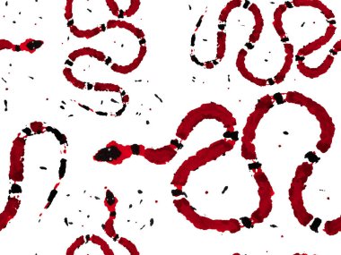 Aspid Pürüzsüz Düzen. Yılan Derisi Parmak izi. Zehirli Ejder Taklidi. Afrika Safari Deri Çizimi. El çizimi Aspid Deseni. Elapidae Kapanış Arkaplanı. Kırmızı Kırmızısı