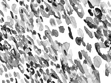 Siyah ve Beyaz Leopar desensiz. Suluboya El Çita Yazısı. Vahşi Cilt Egzotik Doku. Geometrik Kürk arka planı. Leopar ve Jaguar Deri. Suluboya El Boyalı Cilt Deseni.