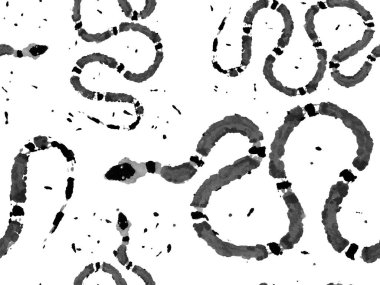 El çizimi Aspid Deseni. Elapidae Kapanış Arkaplanı. Yılan Derisi Parmak izi. Zehirli Ejder Taklidi. Aspid Pürüzsüz Düzen. Tek renkli ve gri tonlu Afrika Safari Deri Çizimi.