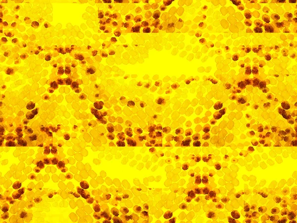 Yılan Derisi Rastgele Doku. Canlı Geometrik Mayo Kalıbı. Etnik Kusursuz Düzen. Suluboya Etnik Tasarım. Yaz Rhombus Arkaplanı. Altın sarısı Jeo Simetrik İkat Uyumu.