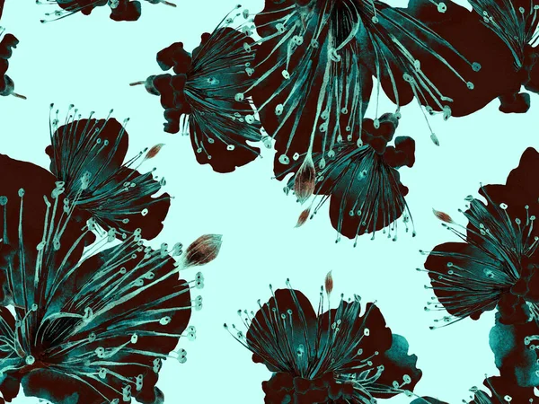 大胆的花卉设计 黑色和白色背景的无缝线大字印 夏威夷春天的大水彩画马拉库亚无尽的背景 艺术大胆的花卉设计 — 图库照片