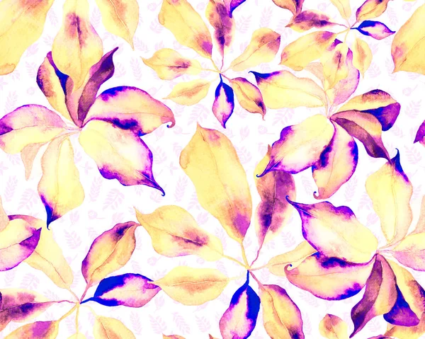 Schefflera Arboricola Kusursuz Düzen. Botanik Suluboya Yazdırma. Evergreen Variegated Walisongo Bitkisi ve Egzotik Çiçekler. Mavi ve Kırmızı Schefflera Aktinophylla Hayata Tekrarlanan Süs