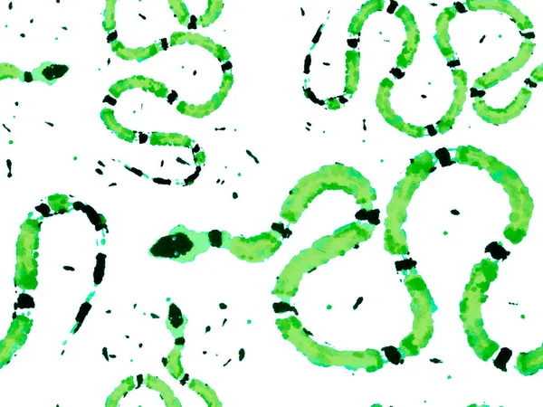 Πράσινο Και Aqua Menthe Snake Skin Print Απομίμηση Δράκου Βένομ — Φωτογραφία Αρχείου