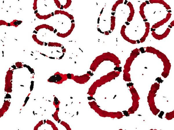 Aspid Pürüzsüz Düzen. Yılan Derisi Parmak izi. Zehirli Ejder Taklidi. Afrika Safari Deri Çizimi. El çizimi Aspid Deseni. Elapidae Kapanış Arkaplanı. Kırmızı Kırmızısı