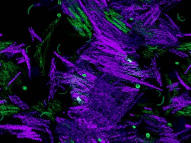 Modern Yazı Başlığı. Şirin Büyük Moda Geometrik Mavide Kusursuz Desen Yatay Şablon İndigo Arkaplanı. Büyük Moda Asgari Baskısı. Tebeşir Yazı Başlığı.