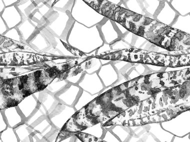 soyut arkaplan, düzenlenmiş suluboya resim