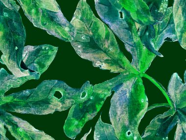 Kalın Çiçek deseni. Yeşil Arkaplanda Büyük Tropikal Kusursuz Parmak izi. Büyük Hawaii Yazı Maracuja Sonsuz Arkaplanı. Kalın Çiçek Tasarımı.