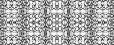 Siyah ve Beyaz Yılan Derisi Rastgele Doku. Eğlenceli Dikdörtgen İkat Uyumu. Suluboya Etnik Tasarım. Boya fırçası Python arka planı. Sembol geometrik mayo deseni. Etnik Kusursuz Desen.