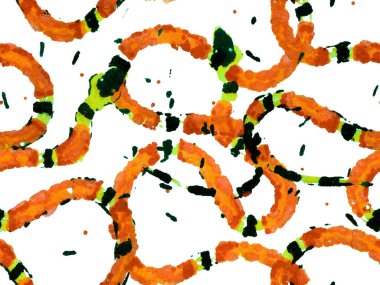 Kırmızı, Aspid, pürüzsüz desen. Elapidae Kapanış Arkaplanı. Afrika Safari Deri Çizimi. El çizimi Aspid Deseni. Yılan Derisi Parmak izi. Zehirli Ejder Taklidi.