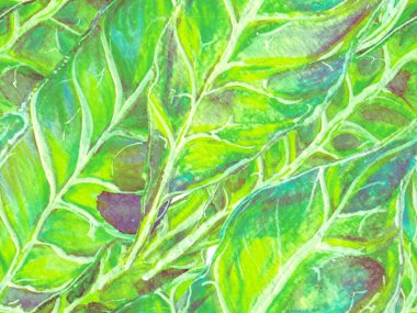 Suluboya Turuncu Çiçek ve Yapraklar. Biyo Jasmin Kusursuz Şablon. Canlı Sakura ve Jasmine Print. Yaz Vintage Arkaplanı. Çiçek Ayurveda deseni. Yeşil ve Su Mentonu