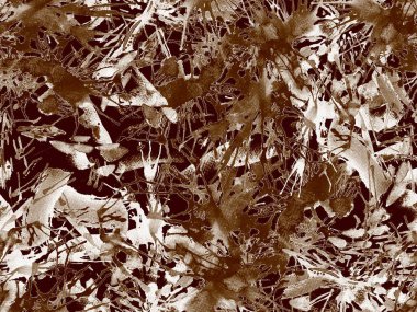 Püskürme izi yok. Siyah beyaz suluboya fırça darbesi grunge tasarımı. Suluboya boya boya tasarımı. Elle çizilmiş mürekkep lekeleri. Toprak sıçrama deseni. Sıvı damlayan fırça sonsuz iz.