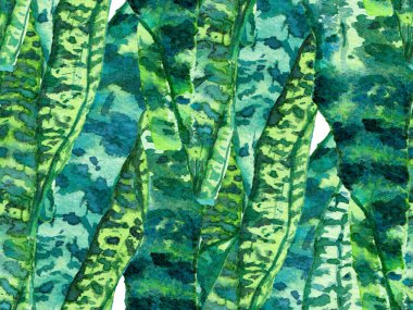 Suluboya kusursuz desen bırakır. Green ve Aqua Menthe Vintage Eco Rapport. Egzotik Mayo Tasarımı. Hawaii Kova Parmak izi. Yaz Çiçeği Arkaplanı. Botanik Ormanı Çizimi.