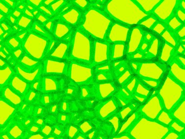 Yeşil ve Aqua Menthe Hand Timsah desenli. Timsah Kusursuz Şablon. Yırtıcı Hayvan Derisi İzi. Ejderha Derisi Taklidi. Timsah Kapanış Arkaplanı. Afrika Deri Çizimi.