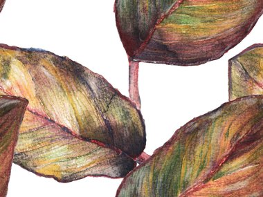 Suluboya Çiçek Geçmişi. Tropik Yaz İlişkileri. Tropikal Yapraklı Mayo İzi. Altın sarısı suluboya Yapraksız Kalıp. Egzotik Hawaii Tasarımı. Döşeme dokusu.