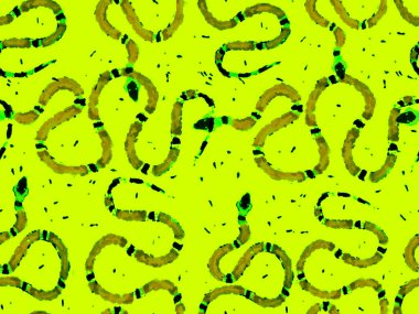 Afrika Safari Deri Çizimi. Elapidae Kapanış Arkaplanı. Yılan Derisi Parmak izi. Zehirli Ejder Taklidi. Aspid Pürüzsüz Düzen. El çizimi Aspid Deseni. Yeşil ve Su Mentonu