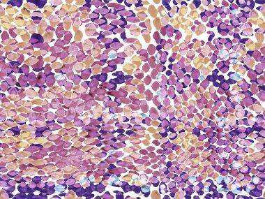 Yılan Derisi Rastgele Doku. Canlı Geometrik Mayo Kalıbı. Etnik Kusursuz Düzen. Geo Symmetric Ikat Rapport. Suluboya Etnik Tasarım. Yaz Rhombus Arkaplanı.