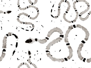 Aspid Pürüzsüz Düzen. El çizimi Aspid Deseni. Yılan Derisi Parmak izi. Zehirli Ejder Taklidi. Monokrom ve Greyscale Elapidae Kapanış Arkaplanı. Afrika Safari Deri Çizimi.